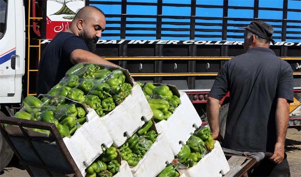 الأسعار تأكل التصحيح النسبي في الأجور