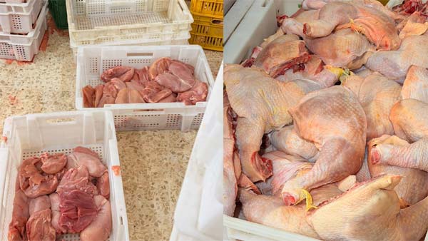 مفرزة استقصاء البقاع تضبط مستودعَي دجاج مخالفَين لشروط السّلامة الغذائيّة في سعدنايل وتوقِف عشرة أشخاص