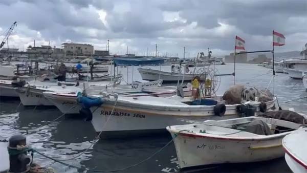 توقف حركتي الملاحة والصيد البحري في ميناء صيدا وظهور شاروق بحري قبالة شاطىء المدينة