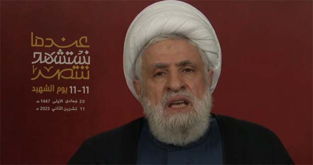 الشيخ قاسم: صمود المقاومة الأسطوري أوقف إسرائيل ونحن فتحنا للحكومة الطريق  