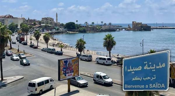إصابة مواطنة في صيدا لتعرضها لهجوم كلاب شاردة ومناشدة البلدية لحل هذه المشكلة