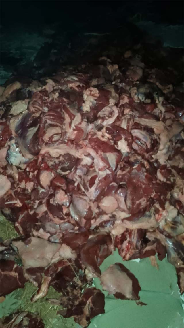 بلدية صيدا تلاحق المخالفين وتسطر محضر ضبط بحق ملقي "لحوم تالفة" على الأوتستراد البحري