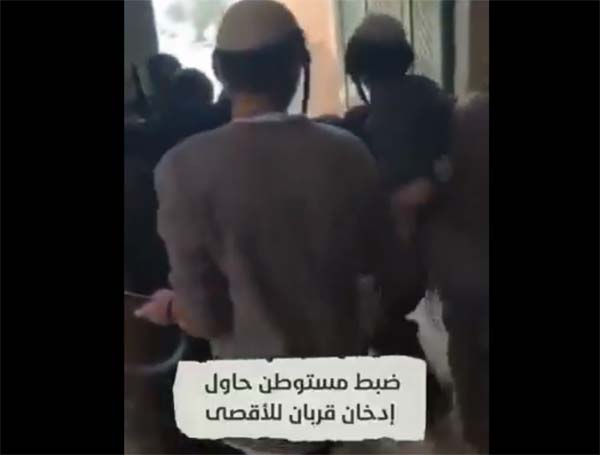 "القربان" كأداة استعمار... الأقصى بين سلاحين