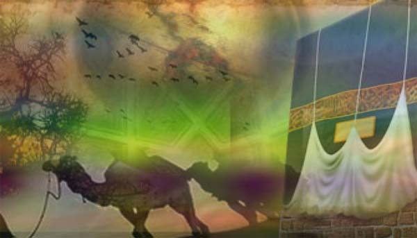 في اتخاذ الهجرة تاريخاً للأمة تتجلى عظمة الصحابة رضي الله تعالى عنهم وأرضاهم